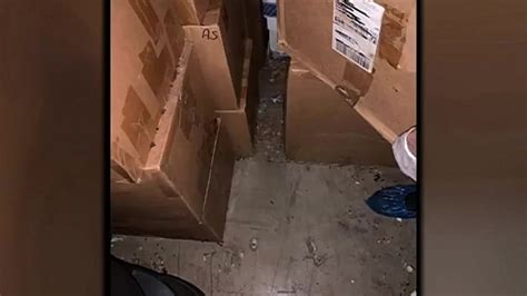 Couple shocked to find self-storage unit infested by rats